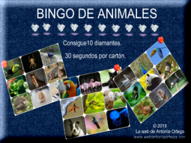Bingo de Animales on line
