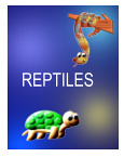 Enlace Tablero Reptiles Pinterest
