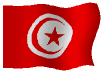 bandera Túnez
